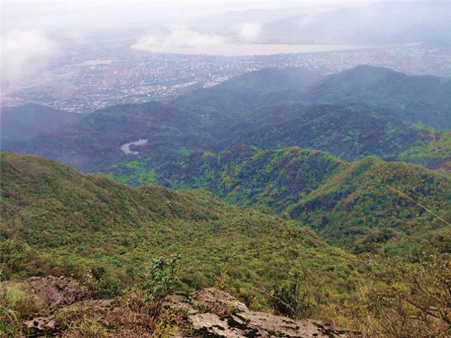 廣東博皓2020開(kāi)年第一爬&mdash;&mdash;鼎湖山