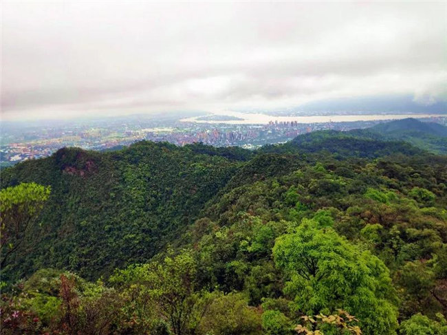 廣東博皓2020開(kāi)年第一爬&mdash;&mdash;鼎湖山   -4