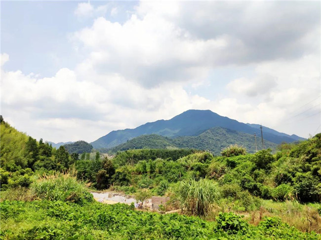 呼吸鮮氧，踐行公益&mdash;&mdash;廣東博皓公益活動：星溪線公益環保活動   -6