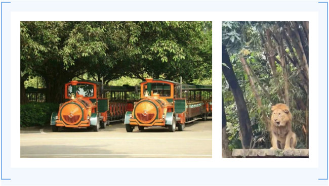 大手牽小手，快樂親子游！廣東博皓2023年親子游活動        -7