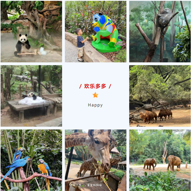 大手牽小手，快樂親子游！廣東博皓2023年親子游活動        -8