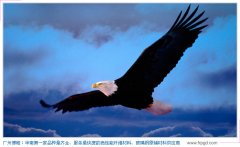 業(yè)績(jī)的背后